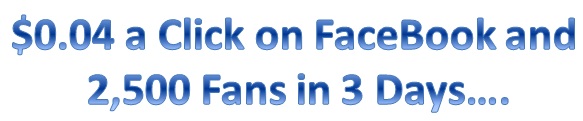 Post image for FaceBook Fan Page PPC